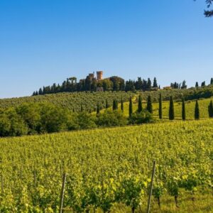Panoramic view of a historic estate and lush vineyards on the Chianti hills