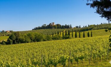 Panoramic view of a historic estate and lush vineyards on the Chianti hills