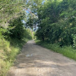 percorso lungo la pesa da cerbaia