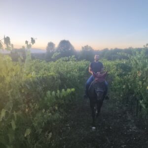 a cavallo 2