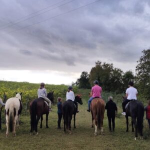 a cavallo 3 back