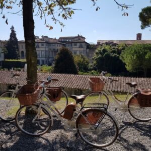 in bici sulle mura di Lucca