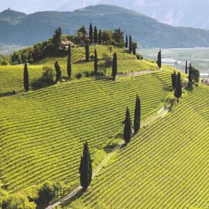 val di suva vigneti