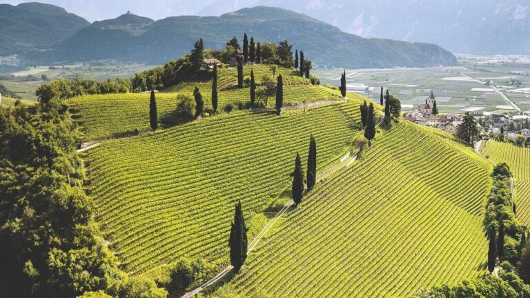 val di suva vigneti