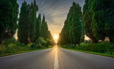 Scenic road with iconic cypress trees at sunset during our private tours in Tuscany