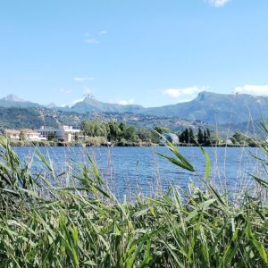 Massaciuccoli Lake