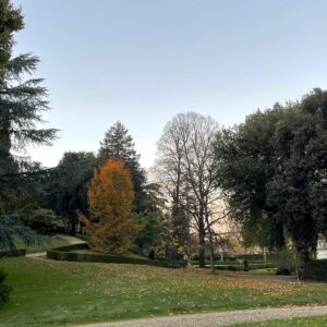 giardino1